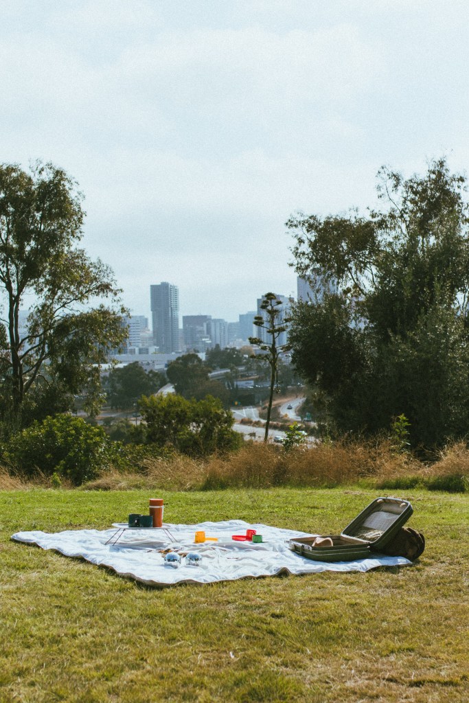 A vintage picnic in Golden Hill Park