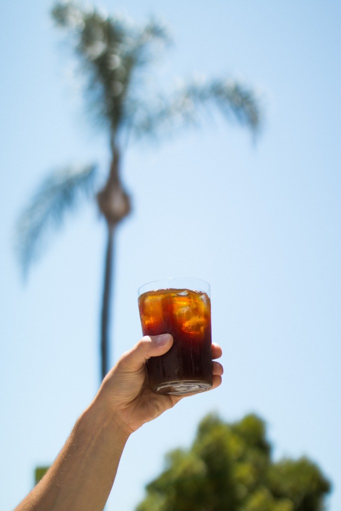 Sunlit coffee with palm trees behind